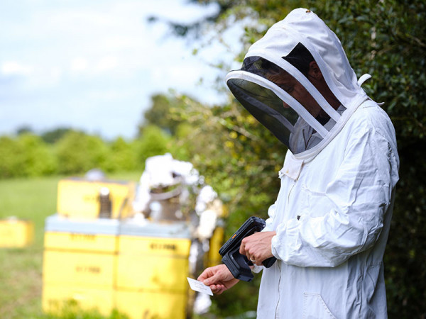 Person in bee suit using a hand scanner. 